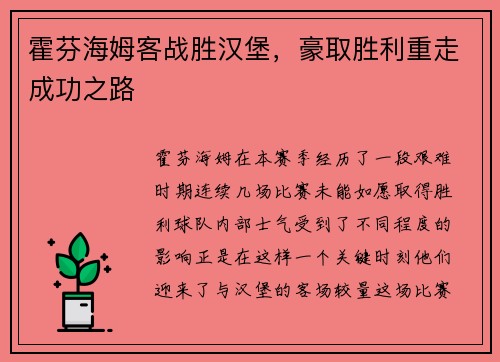 霍芬海姆客战胜汉堡，豪取胜利重走成功之路